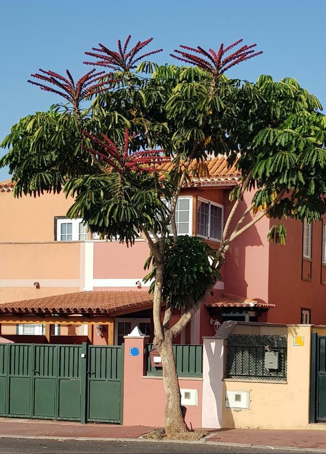 Rosas by Villas Rinamar Las Rosas  Exterior foto